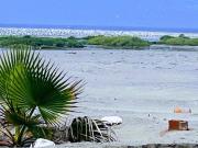 Terreno En Primera Fila 128 M2 Playa Chilca...