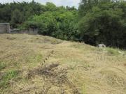 Terreno en privada con vigilancia. Tlaltenango, Cuernavaca Terreno en privada con vigilancia. Tlaltenango, Cuernavaca