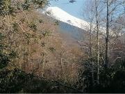 Terreno en Pucón: Tu Refugio Ideal