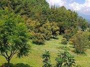 Terreno en Pueblo San Pedro Pareo