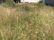 Terreno en Pueblo Tenextepec