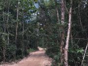 Terreno en Puerto Morelos