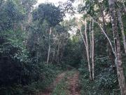 Terreno en Puerto Morelos