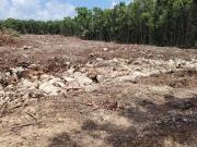 VENTA TERRENO BOSQUES DEL CARIBE