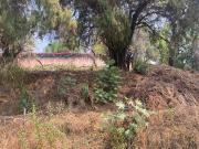 TERRENO EN RANCHO CORT?S ? PERFECTO PARA PROYECTO...
