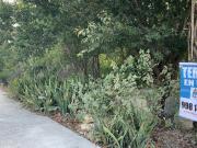 TERRENO EN RANCHO VIEJO USO DE SUELO MIXTO