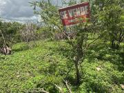 Terreno en Remate – Salida a Mil Cumbres, Morelia