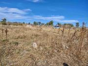 terreno en renta 1000 m2