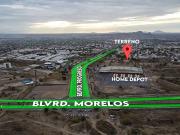 TERRENO EN RENTA AL NORTE DE LA CIUDAD