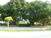 TERRENO EN RENTA AV. CASTELLOT EN CD. DEL CARMEN