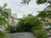 Terreno en Renta Av. Universidad Monterrey N.L