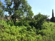 Terreno en renta casi plano