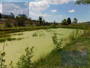 Terreno en renta cerca de parque industrial arco 57 carr...