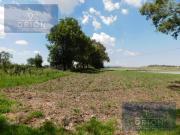 Terreno en renta cerca de parque industrial arco 57 carr...