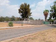 Terreno en Renta – Ciudad Granja, Zapopan, Jalisco