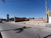 Terreno en Renta de 1194 m4 sobre ave. Primo de verdad