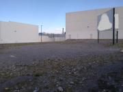 Terreno en renta en Arboledas Residencial, Saltillo,...