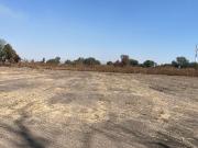 TERRENO EN RENTA EN ARROYO HONDO LEON GTO ZONA INDUSTRIAL