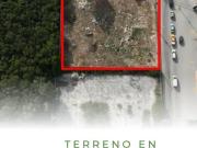Terreno en Renta en Av. Huayacan