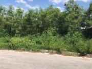 TERRENO EN RENTA EN CAMPECHE: AREA AH KIM PECH