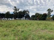 Terreno en renta en Ciudad Guzman Centro, Zapotlán El...