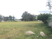 Terreno en renta en Copalita, Zapopan, Jalisco