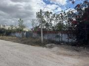 Terreno en renta en Dzitya