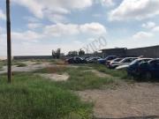 Terreno en renta en Ejido San Miguel, Matamoros,...