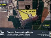 Terreno en Renta en El Diez, Ejido El Quemadito en...