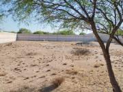 Terreno en renta en El Salitre, Querétaro
