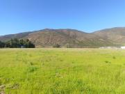 Terreno en renta en Francisco Zarco, Ensenada, Baja...