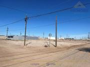 Terreno en renta en Nuevo Mexicali, Baja California