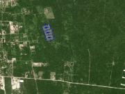 Terreno en renta en Paraíso, Progreso, Yucatán