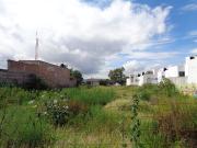 TERRENO EN RENTA EN SAN PEDRITO PEÑUELAS QUERETARO