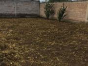 Terreno en renta en San Pedro Zitlaltepec, Zumpango,...
