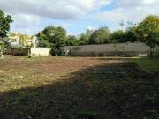 Terreno en renta en Santa Rita Cholul, Mérida, Yucatán