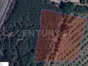 TERRENO EN RENTA EN TECOMAN, COL