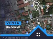 Terreno en renta en Vista Hermosa, Cuernavaca, Morelos