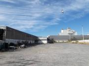 Terreno en renta Gobernador Curiel