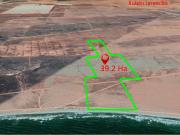 Terreno en Renta, ideal para siembra! Frente de playa