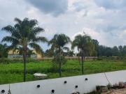 TERRENO EN RENTA LA HUERTA COLORADA MILITAR RESIDENCIAL