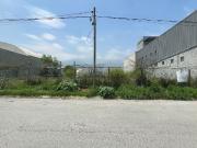 TERRENO EN RENTA MONTERREY NUEVO LEON