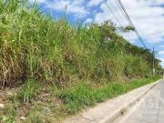 Terreno en Renta o Venta en Bugambilias Uso de Suelo Mixto