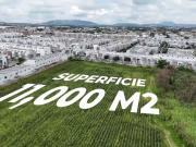 Terreno en Renta Parques de Tesistan