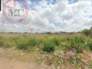 Terreno en renta Siglo XXI oriente, Pensadores Mexicanos