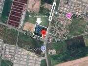 Terreno en Renta sobre Av Adolph Horn