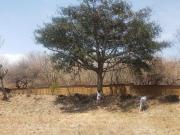 TERRENO EN RESIDENCIAL SANTA ANA