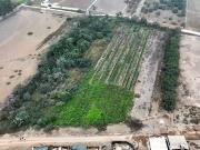 Terreno en RINCONADA DE PURUHUAY PACHACAMAC, LURIN
