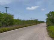 TERRENO EN RIO LARGARTOS YUCATAN EN EXCELENTE UBICACIÓN