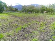 Terreno en San Diego Carabobo El Polvero